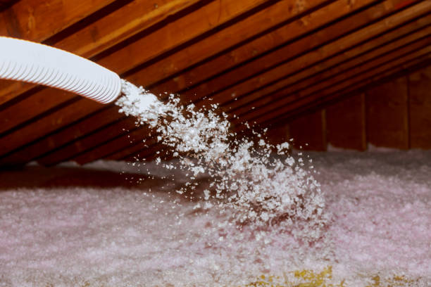 Best Commercial Insulation Services  in Ignacio, CO