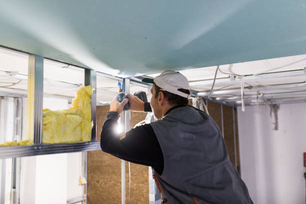 Best Attic Insulation Installation  in Ignacio, CO